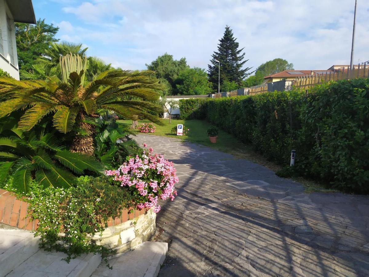B&B Tra Mare E Marmo Marina Di Carrara Exteriör bild