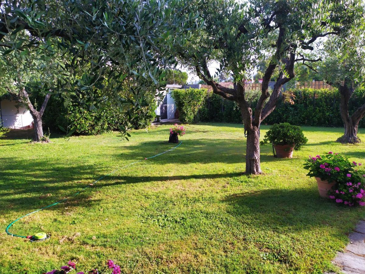 B&B Tra Mare E Marmo Marina Di Carrara Exteriör bild